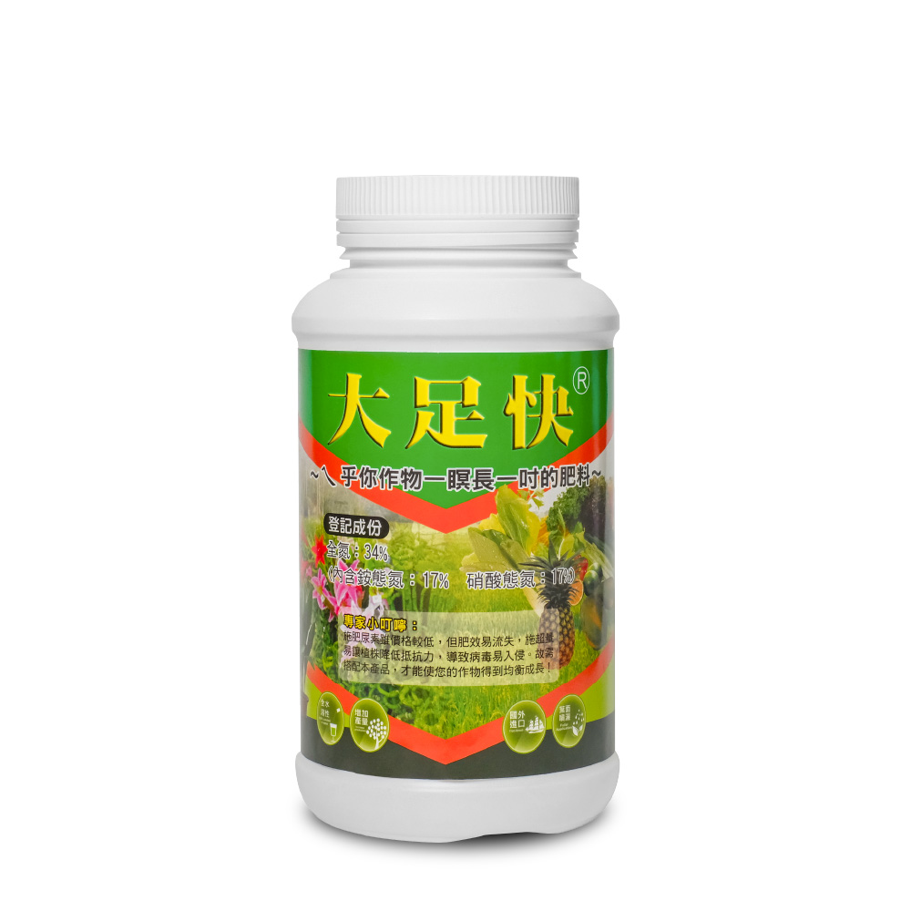大足快