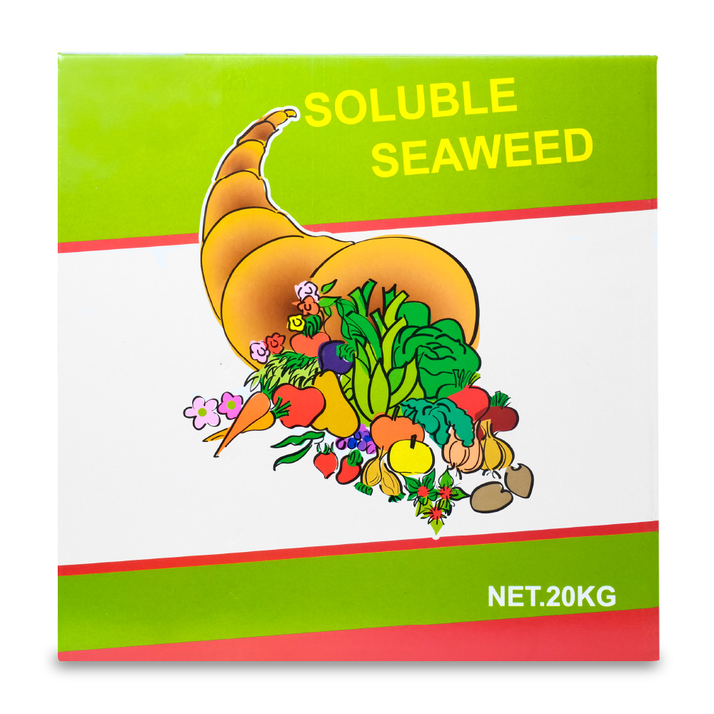 特級海草精
